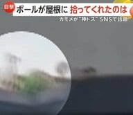 “奇跡のトス”がSNSで話題に「ありがとう！」屋根の上へ飛んだボールを“カモメ”が手助けし生徒たち大歓声　トルコ