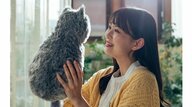 鼓動や温もりをリアルに再現した“猫型”クッションが話題…おすすめの楽しみ方を聞いた