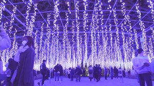 鬼滅の世界!光る藤棚・東京の空にオーロラ! 進化が止まらない冬の最新絶景イルミネーション