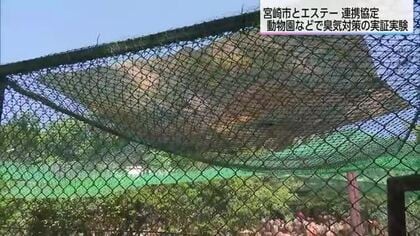 畜産や動物園の「臭い」を解決へ　宮崎市とエステーが全国初の実証実験を開始「トドマツ」の成分を活用