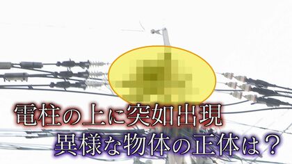 誰の仕業？住宅街に“謎の物体”  電柱に”異様”なハンガーのかたまり  その正体は…  撤去を試みるも… 【福岡発】