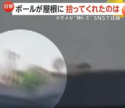 “奇跡のトス”がSNSで話題に「ありがとう！」屋根の上へ飛んだボールを“カモメ”が手助けし生徒たち大歓声　トルコ