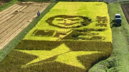 矢沢永吉さんを稲穂で表現！ ファンが作った「永ちゃん田んぼ」が見頃…アートで活力を【岡山発】