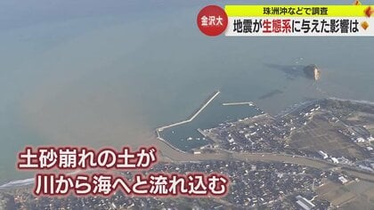 「元に戻ることは考えにくい」地震が与えた海への影響　能登半島地震から2カ月　海底地質と生態系の変貌【石川発】