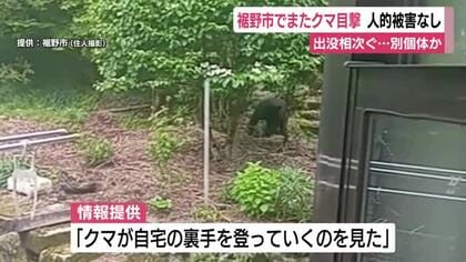 裾野市でまたクマ目撃　人的被害なし　出没相次ぐ…別個体か