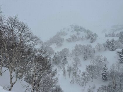 【速報】「安政火口の北側で雪崩が発生し1人が埋まっている」北海道上富良野町の山で雪崩…男性が巻き込まれ救助も意識なし