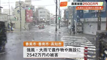 再び“春の嵐”か、あすにかけて大気非常に不安定　先週の嵐で2542万円の農業被害【高知】