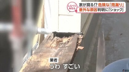 あなたの家は大丈夫？今の時季の住宅トラブル【しらべてみたら】