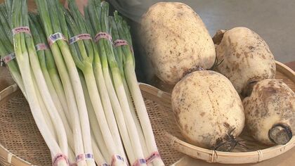 秋の野菜は「長ネギ」と「レンコン」がおすすめ　物価高でも”お求めやすい価格”に【新潟発】