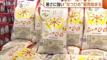 【新米】食べ応えと甘みが特長！新品種『なつひめ』の販売スタート　消費者から期待の声「お米の素材楽しみたい」新潟