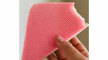 「スポンジ食べてるの？」福岡で慣れ親しんだ“菓子パン”を食べていたら友達が驚きの反応…製造会社にも感想を聞いた