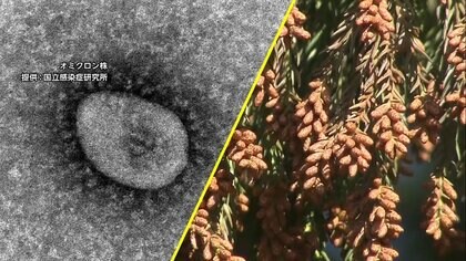 「見分けるのが難しい」花粉症とオミクロン株の症状が類似…｢みなし陽性｣増加の可能性も