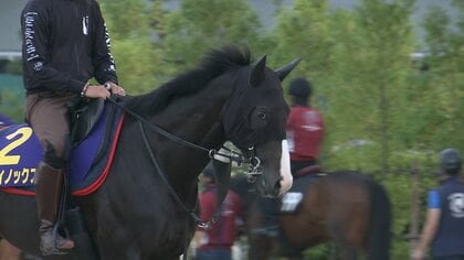 【宝塚記念】世界ランキング1位イクイノックスが国内凱旋。独壇場か？死角は？ルメール騎手の独占インタビューも！