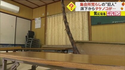 【タケノコにょっき】畳めくられ机も倒され…計7本のタケノコが集会所荒らす　約3m伸び天井突き破る寸前のも　出雲市　