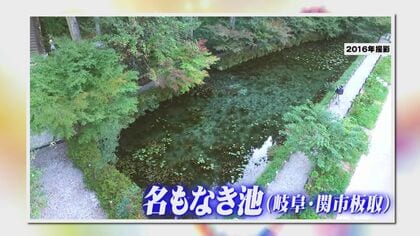 モネの池”と脚光浴びてから7年…岐阜・関市にある「名もなき池」池の