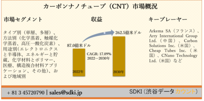 カーボンナノチューブ Cnt 市場ータイプ別 単層 多層 方法別 化学蒸着 触媒化学蒸着