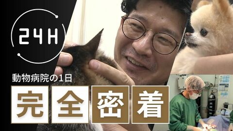動物病院の一日に密着　“声なき声”に耳を傾ける獣医師たちの奮闘