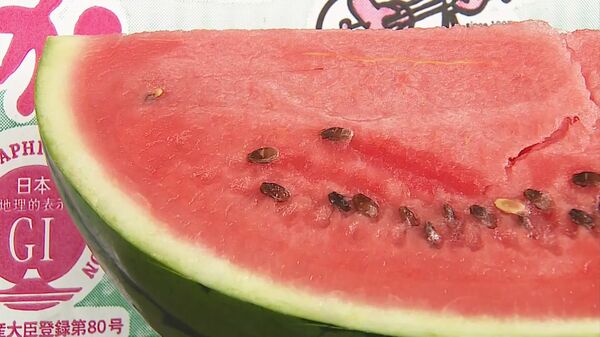 値段は上がったは資材は入ってこないでは…」特産スイカシーズンに中東