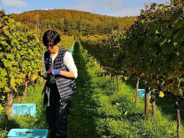 昆布ティラミスの新たな挑戦