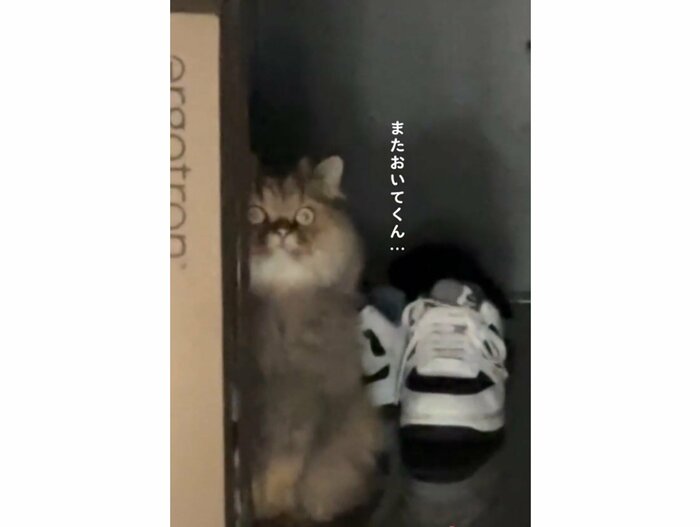 提供:ひなたさん