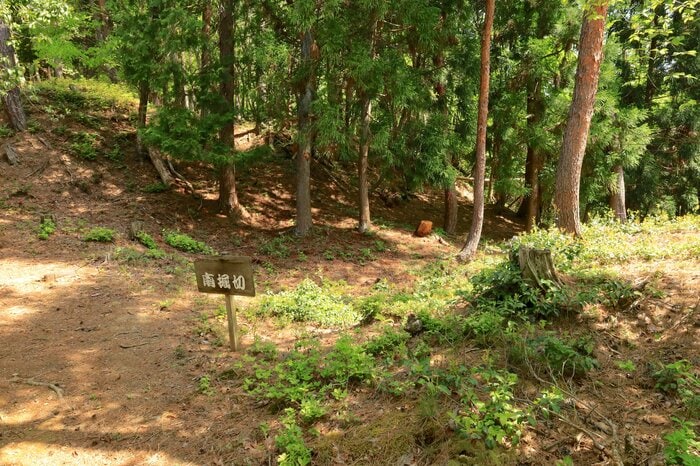 田上山砦の南堀切。落差と幅があり堅牢