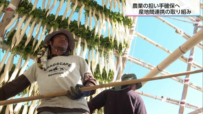 作業をするミャンマーから来た労働者