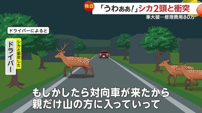 撮影者が推測する事故イメージ