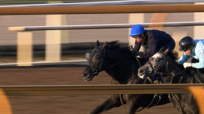 最終追い切りを行うクロワデュノール