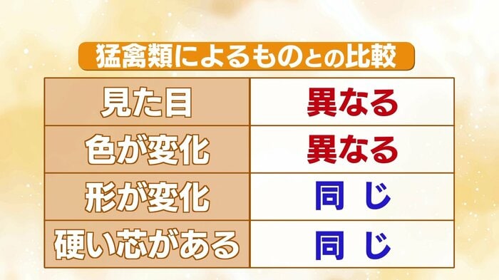 猛禽類によるものと狐の玉の比較