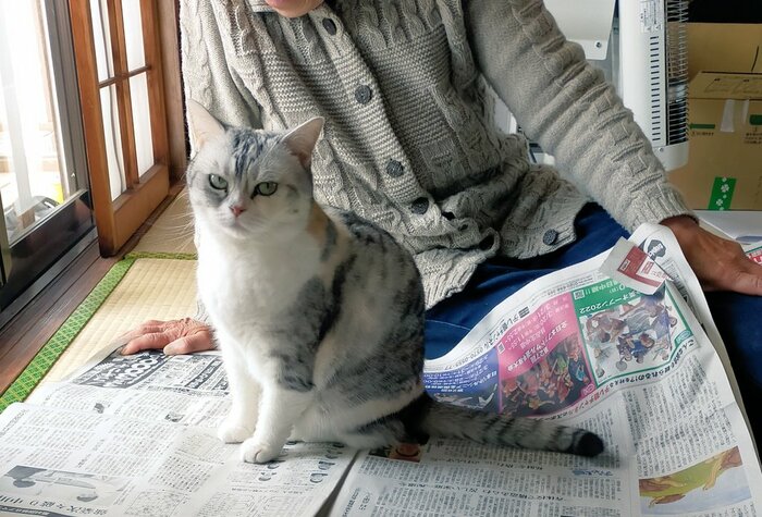提供:まさまささん