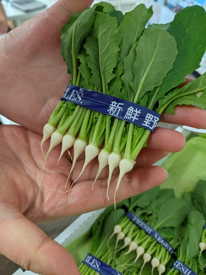 提供:豊洲市場ドットコム