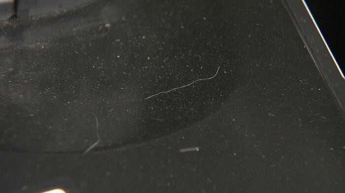 ネコの毛や足跡を見つけたら確認を