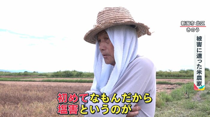 (被害に遭った米農家)