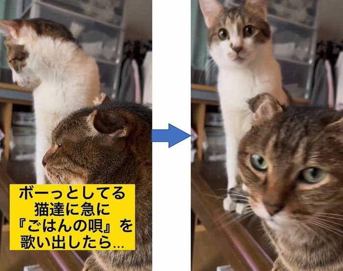しぶけんさんのオリジナルソングを耳にすると、すぐさま反応