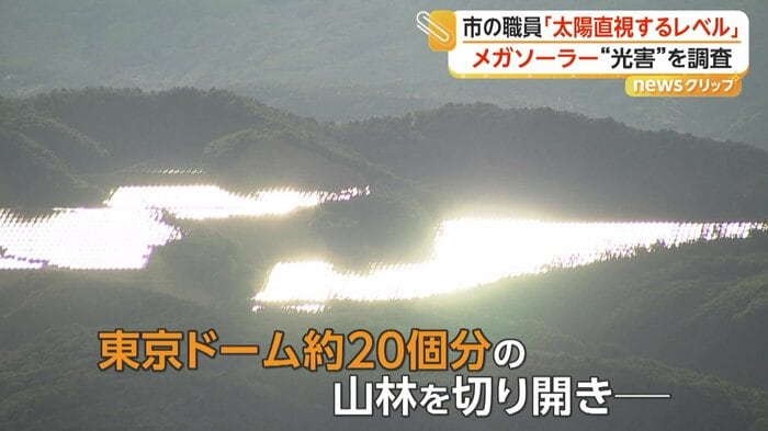 斜面に建てられた太陽光パネル