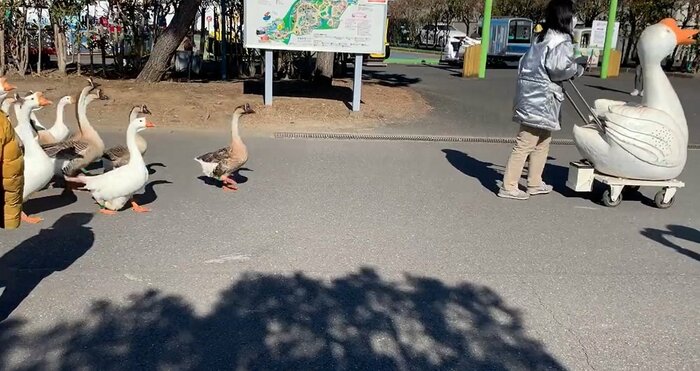 通路確保の役目も担っているという(提供:まめさん)