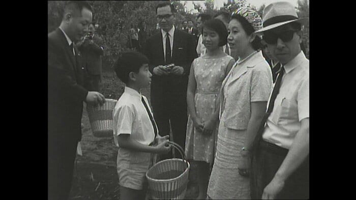 三戸のりんご園へ家族旅行に 1966年