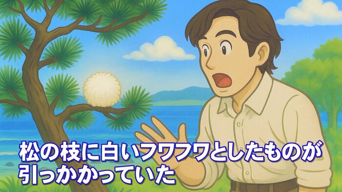 美浜町丹生の海岸にて
