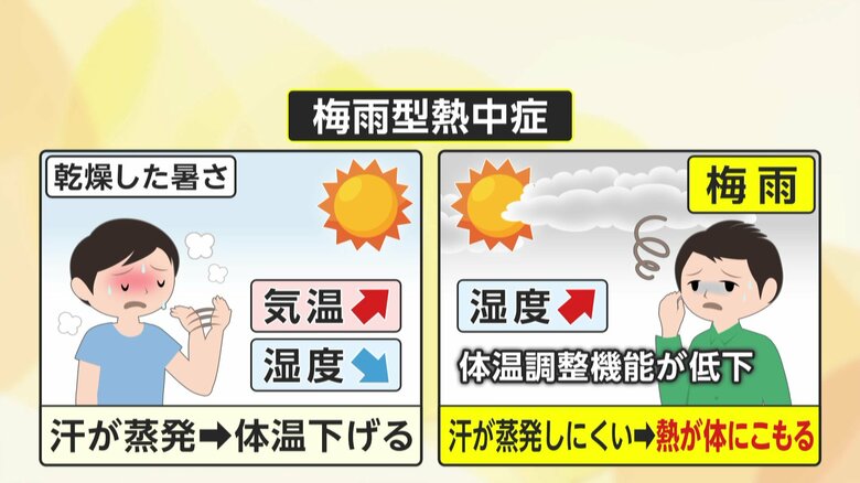 【対策】異例の暑さで要注意「梅雨型熱中症」　汗が蒸発しにくく熱が体にこもる…コーヒーはNG？専門家に聞いた｜FNNプライムオンライン