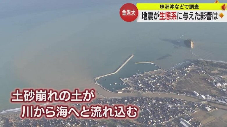 「元に戻ることは考えにくい」地震が与えた海への影響　能登半島地震から2カ月　海底地質と生態系の変貌【石川発】｜FNNプライムオンライン