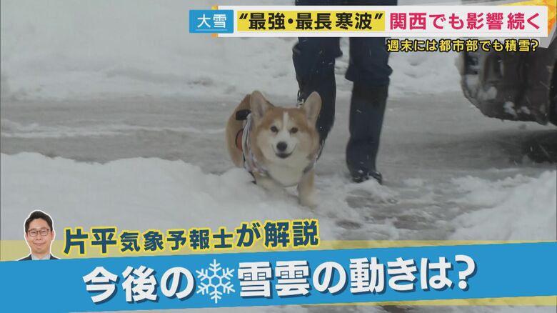 【最強・最長寒波】 週末にかけて「再ピーク」到来　 都市部でも大雪の恐れ 　人気集めるのはスーパーの移動販売車　片平気象予報士が雪雲の動きを解説｜FNNプライムオンライン