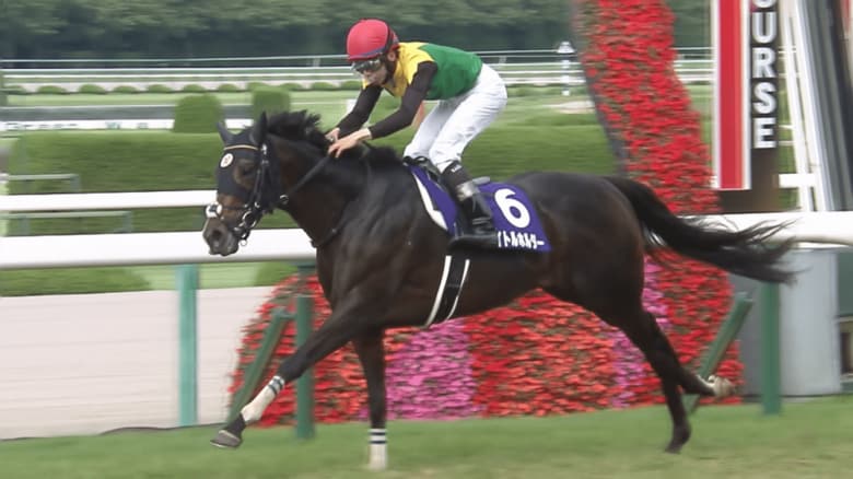 宝塚記念を制したタイトルホルダー