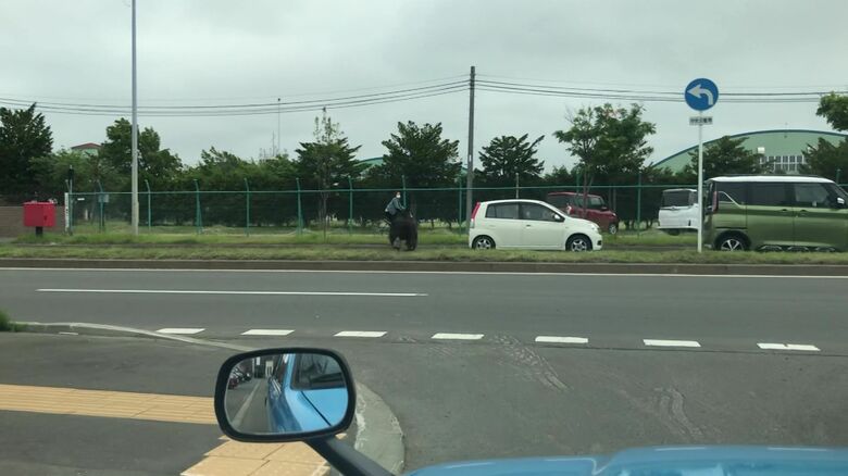 住宅街の道路を横切るクマ