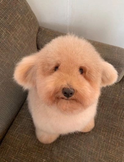 提供：ピン太郎ママさん