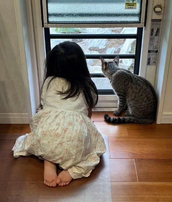 提供：すずつむふうさん