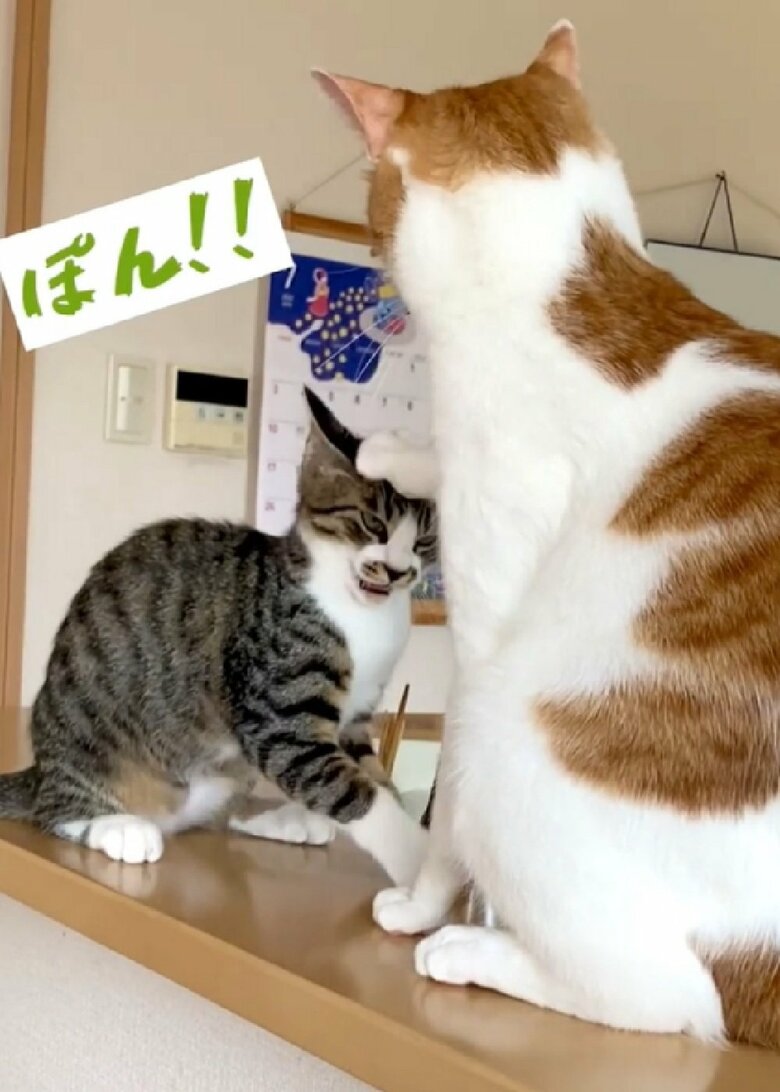「もう終わり」と言っているかのよう