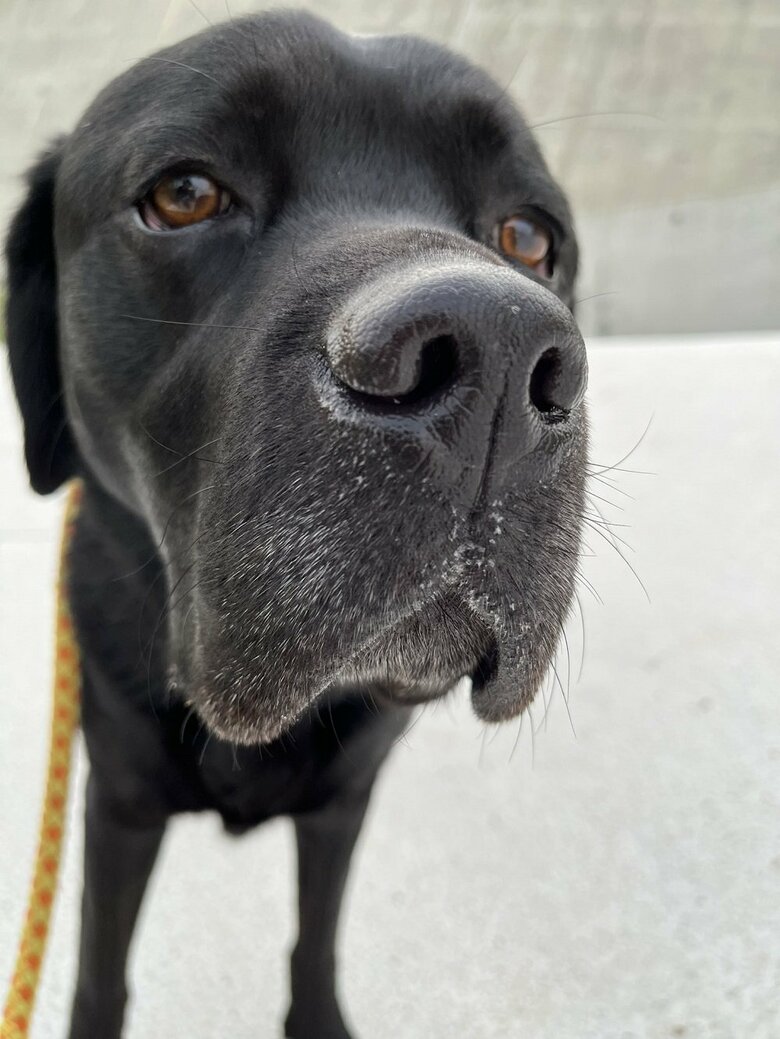 遠くを見ている