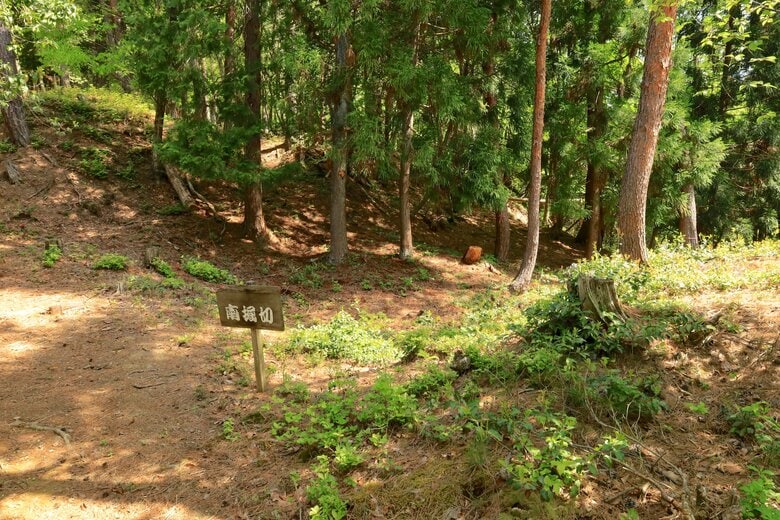 田上山砦の南堀切。落差と幅があり堅牢