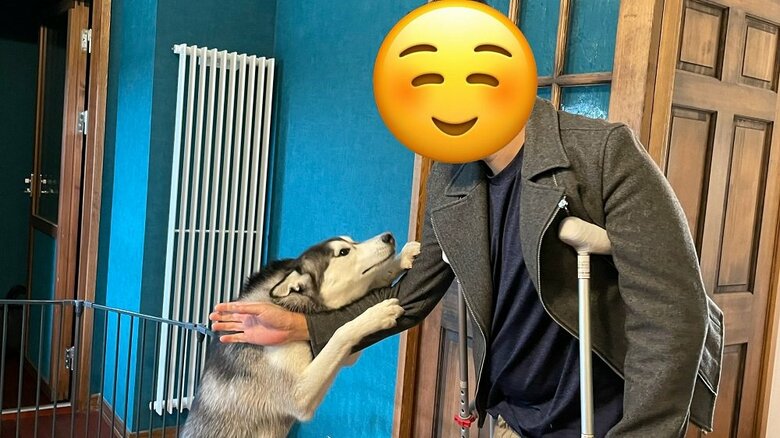 2週間ぶりに帰宅したパパさんの腕に抱きついて出迎えるムイちゃん