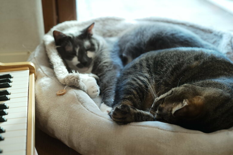 トイピアノの横で